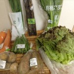 有機野菜宅配「ビオマルシェ」お試しセット（多菜セット）の内容